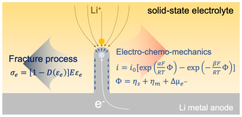 【多物理场】瑞典查尔姆斯理工大学熊仕昭AM：界面缺陷对固态电解质电化学机械失效的作用