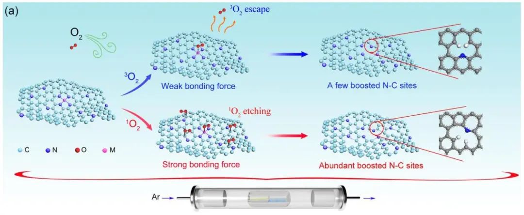 【DFT+实验】Angew.：1O2-N/C助力高效ORR