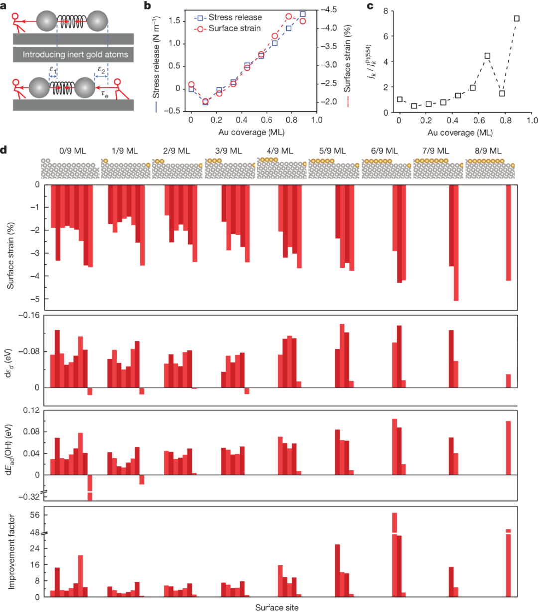 Nature：没有活性完全相同的两个反应位点！Jeffrey Greeley/曾振华团队揭示表面应力释放对铂表面活性的影响
