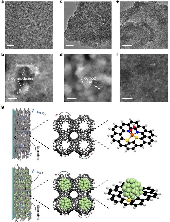 赵东元院士团队，最新Nature子刊！