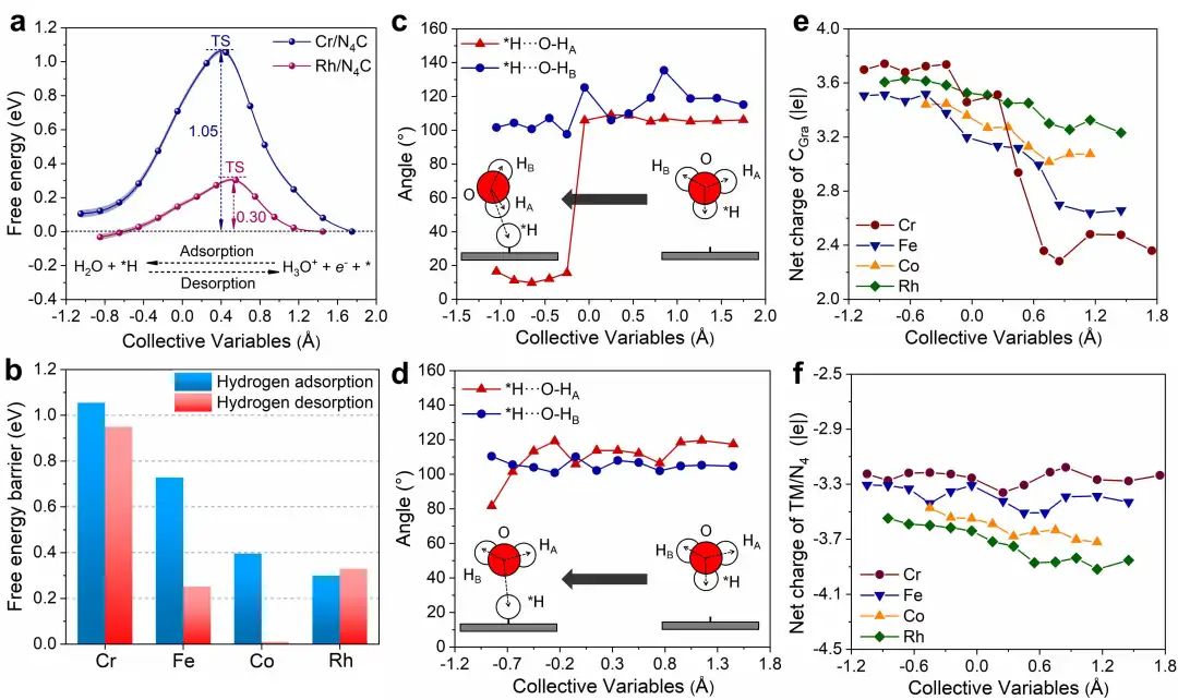 南科大王阳刚电催化动态模拟JACS：包含动力学描述符的单原子析氢电催化剂设计策略