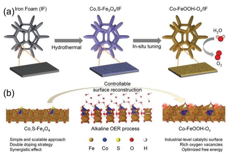 ​【DFT+实验】Small：Co, S-Fe3O4/IF高效催化OER
