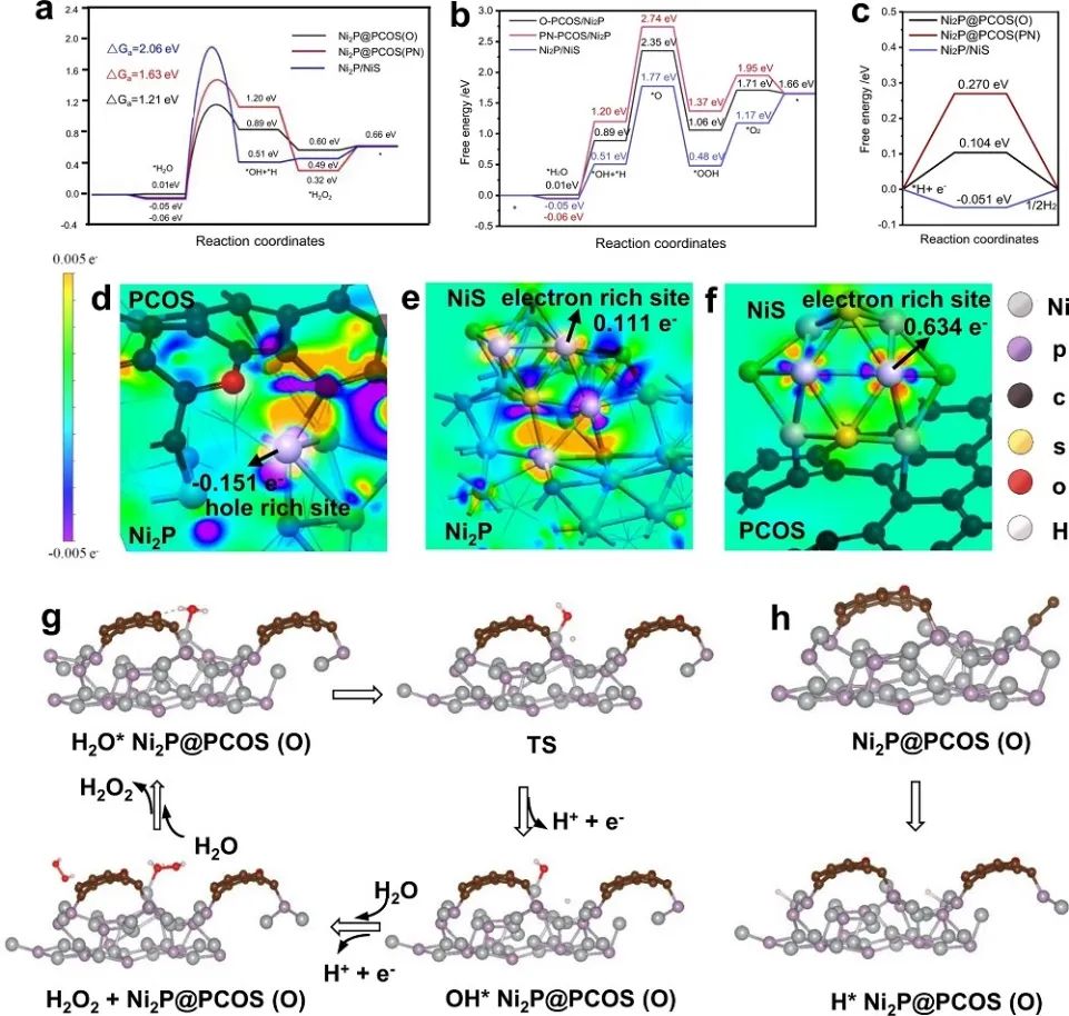 【DFT+实验】Nature子刊：Ni2P/NiS@PCOS实现高效光催化整体水分解