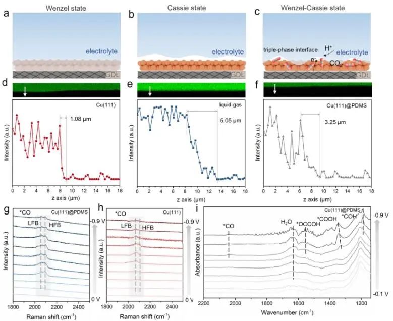 ​西安交通大学ACS Catalysis：强氢键界面水抑制HER动力学，促进电化学CO2还原为C2+