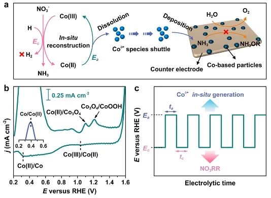 ​南大/扬大Nano Letters：电脉冲驱动Co(II)/Co(III)循环和Coδ+穿梭，促进NO3−转化为NH3