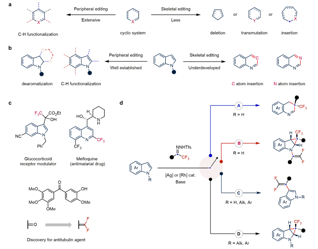 Nat Chem：东北师大毕锡和课题组基于金属卡宾实现吲哚多样性分子编辑