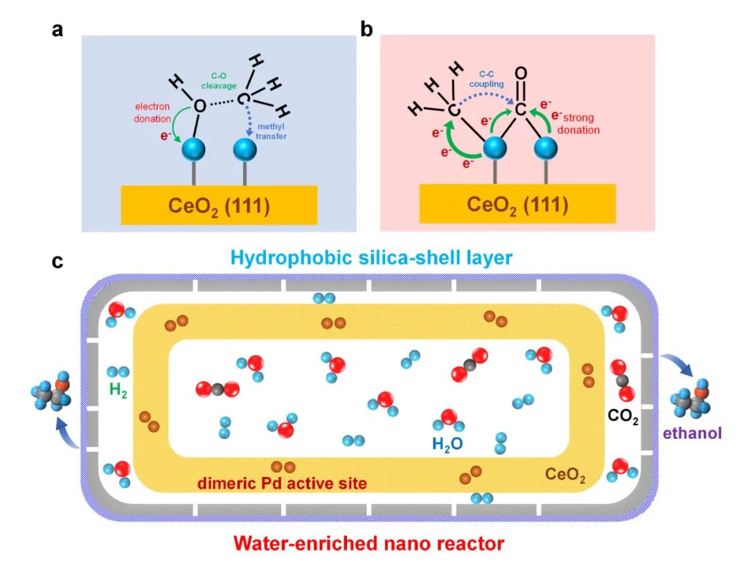 【DFT+实验】江南大学刘小浩团队：结构封装双钯位点-“蓄水”膜反应器”助力CO2一步无副反应高效稳定制乙醇