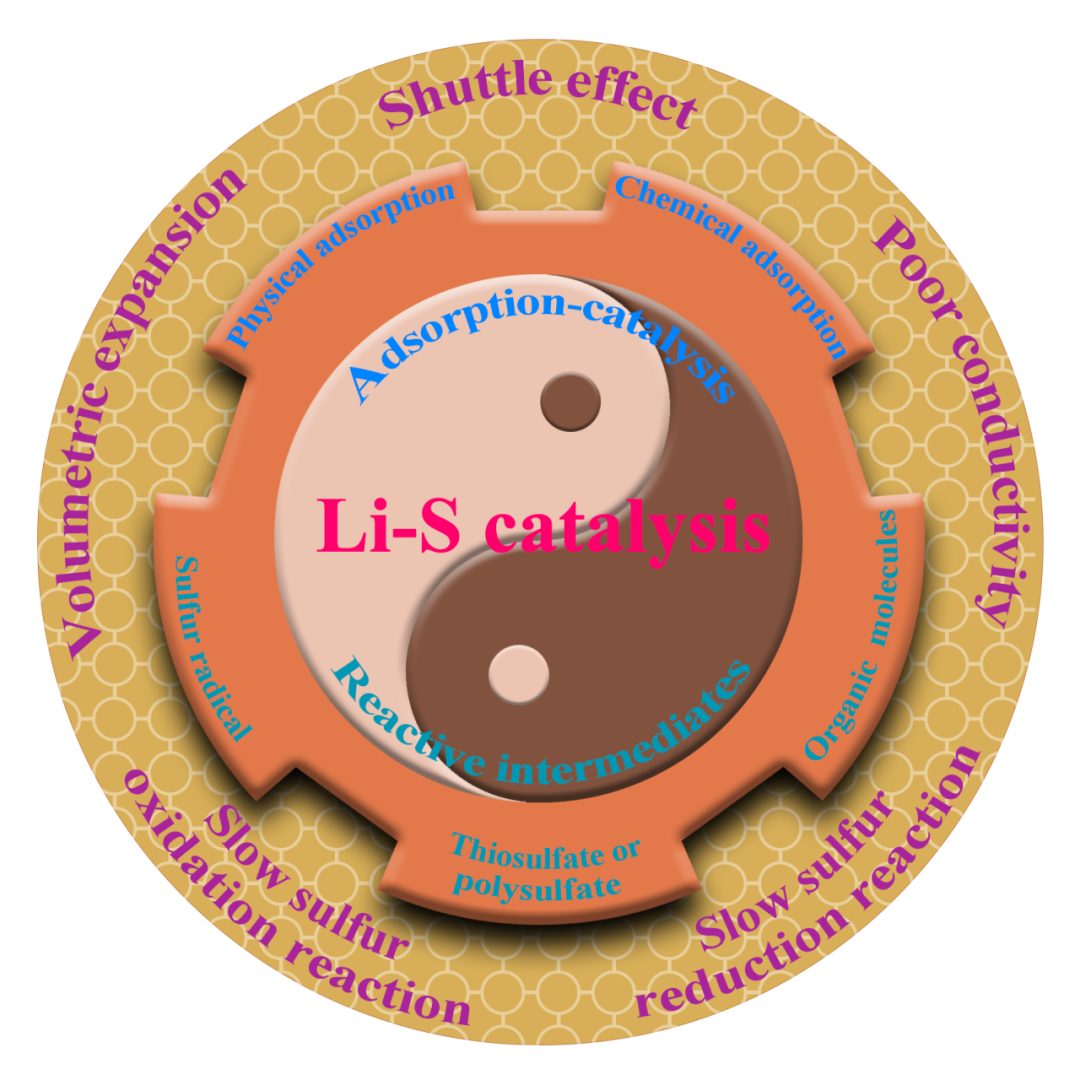 重庆大学魏子栋教授团队综述：锂硫电池中的硫正极电催化认识