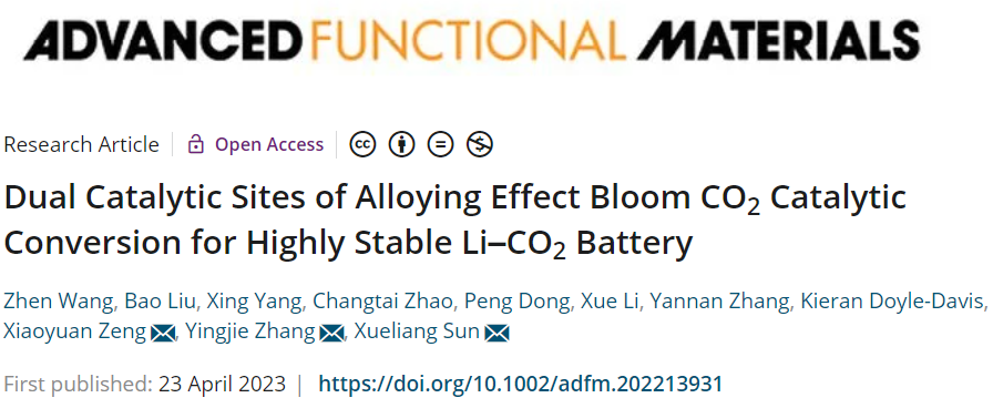 ​​【DFT+实验】AFM：IrRu/N-CNT助力高稳定性Li-CO2电池