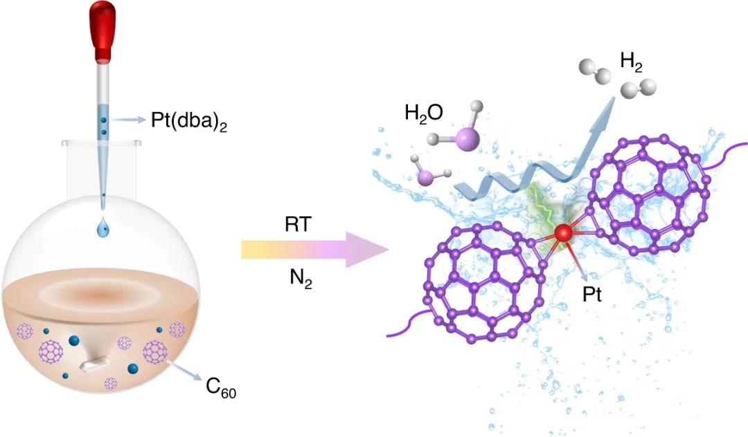 华中科技大学李芳芳团队Nat. Commun.: 富勒烯C60表面单原子Pt加速碱性析氢