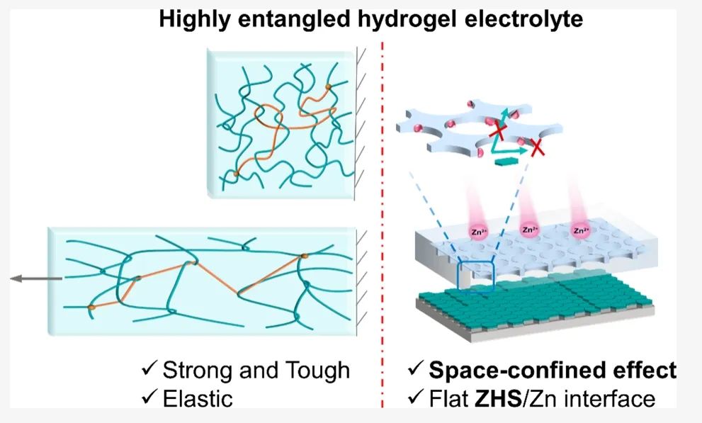 ​中南潘安强/方国赵ACS Energy Letters: 高缠连水凝胶通过界面限域效应实现稳定的锌金属电池