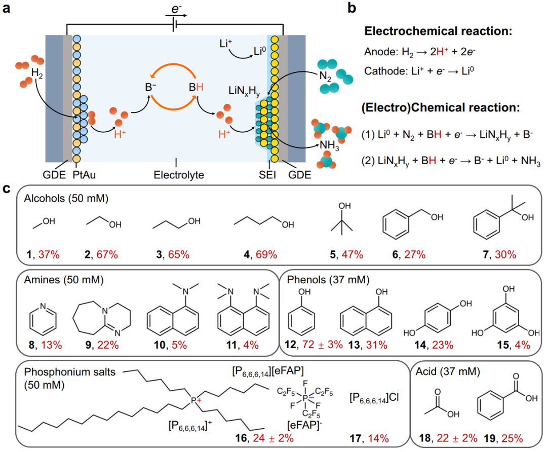 最新Nature子刊：电化学合成氨！