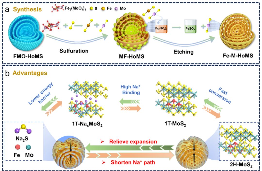 赵孝先课题组Angewandte：Fe单原子掺杂的MoS2多壳层空心球促进钠离子电池快速相变