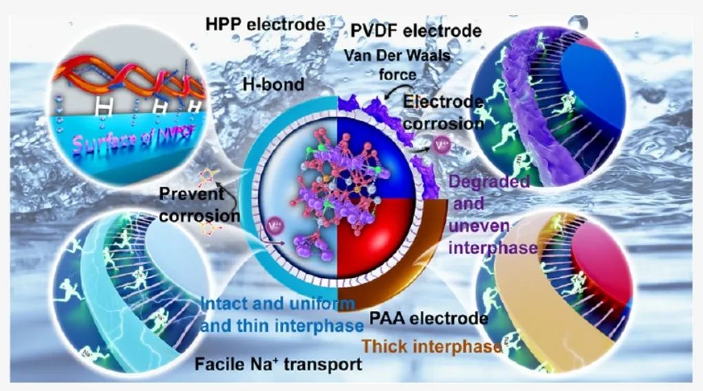 ​东北师大JACS：氢键螺旋混合粘合剂化学用于钠离子电池高压正极