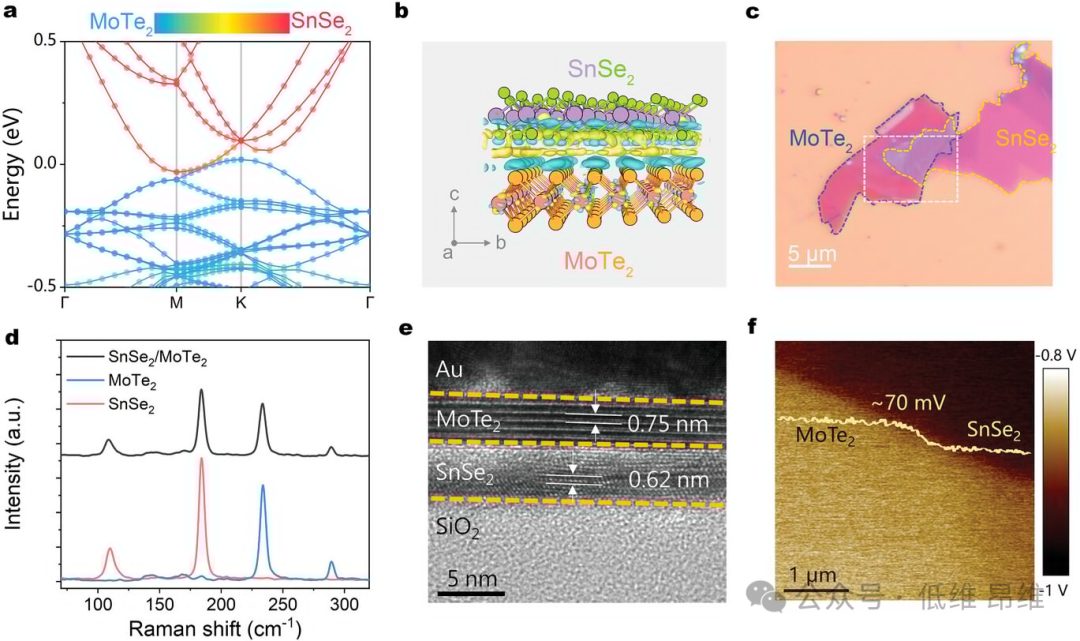 Adv. Optical Mater.：MoTe2/SnSe2异质结中的动态能带对齐调制，用于高性能光电探测器