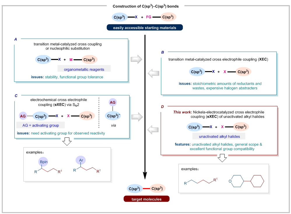 Nat Catal：南开大学仇友爱课题组实现电化学镍催化烷基卤化物还原交叉偶联构筑C(sp³)−C(sp³)键