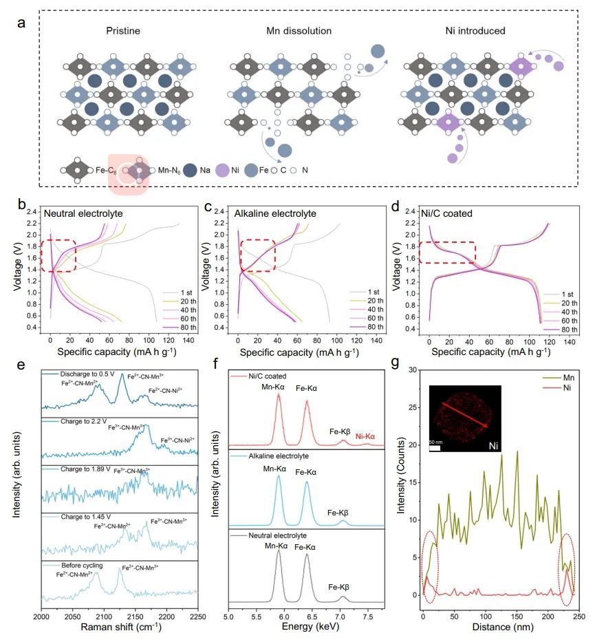 乔世璋Nature子刊：用于大规模储能的碱性水系钠离子电池