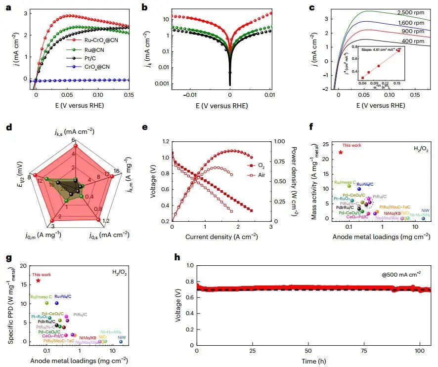 浙大孙文平/潘洪革，重磅Nature Catalysis！