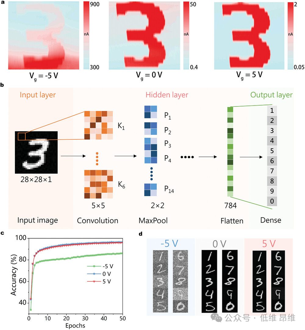 Adv. Optical Mater.：MoTe2/SnSe2异质结中的动态能带对齐调制，用于高性能光电探测器