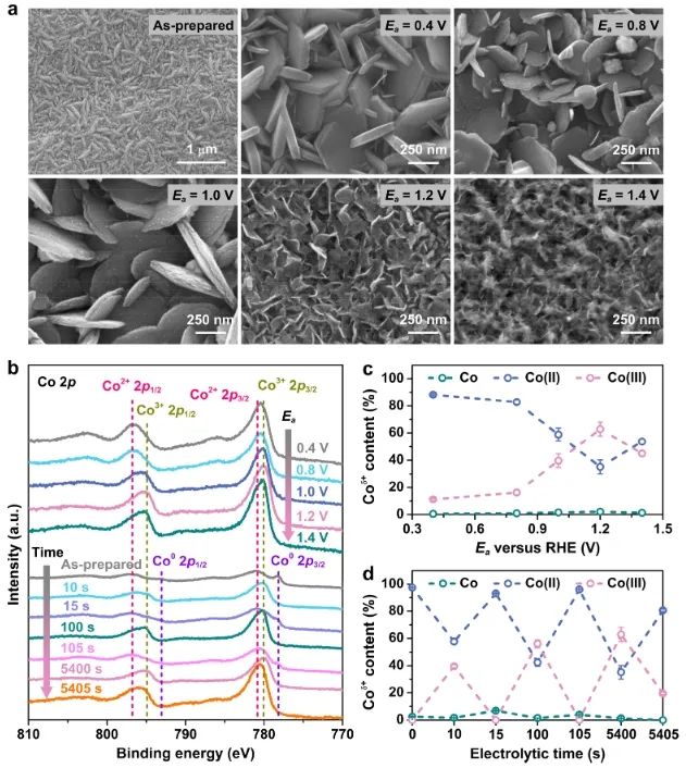 ​南大/扬大Nano Letters：电脉冲驱动Co(II)/Co(III)循环和Coδ+穿梭，促进NO3−转化为NH3