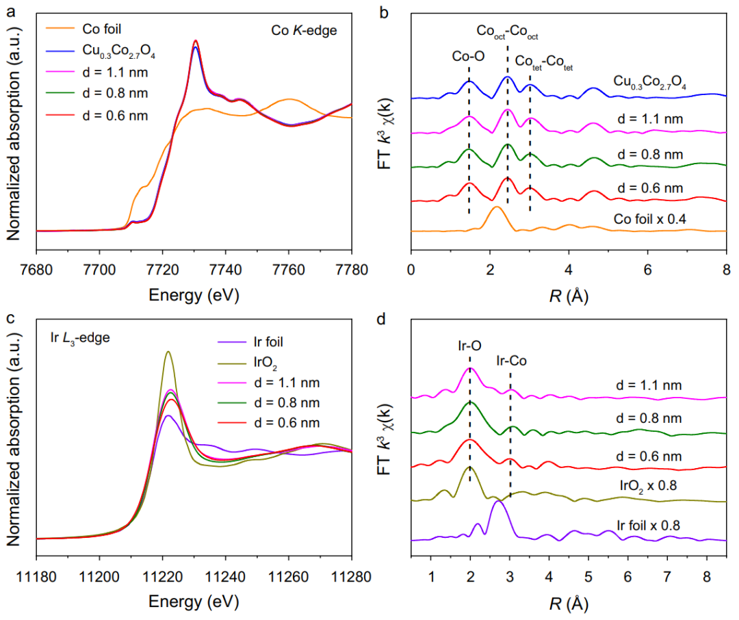 “80后”国家杰青，两天连发Nature子刊与JACS！