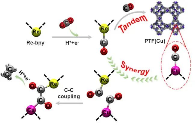 【DFT+实验】​JACS：Re-bpy/PTF(Cu)协同催化CO2制备C2H4