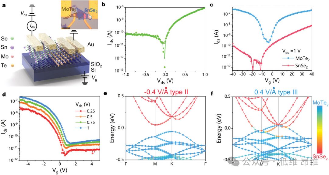 Adv. Optical Mater.：MoTe2/SnSe2异质结中的动态能带对齐调制，用于高性能光电探测器