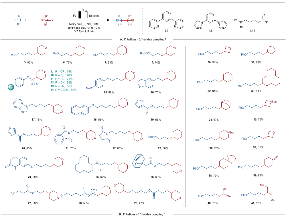 Nat Catal：南开大学仇友爱课题组实现电化学镍催化烷基卤化物还原交叉偶联构筑C(sp³)−C(sp³)键