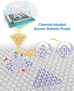 Nature子刊 | 由AI推动的探针化学反应，从自动化到智能化，清华联合NUS开发融合化学家知识的原子机器人探针