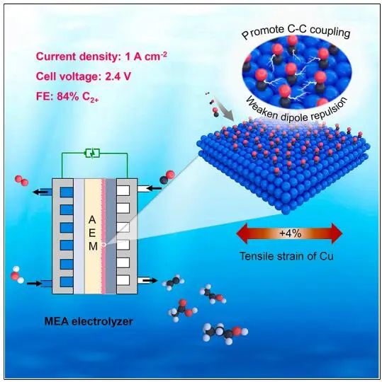 【DFT+实验】Chem：近100%选择性！铜晶格张力促进全池CO电解制多碳烯烃和含氧化合物