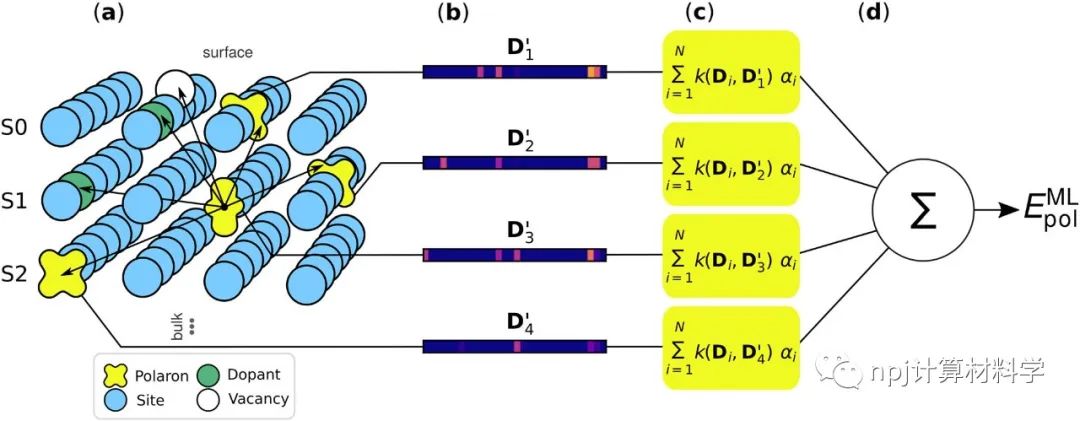 小极化子构型空间：DFT+机器学习