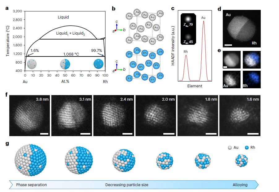 杨培东，最新Nature Nanotechnology！