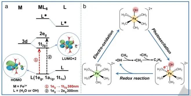 ​【DFT+实验】Angew.：光驱动Fe诱导甲烷与乙烷的非氧化偶联！