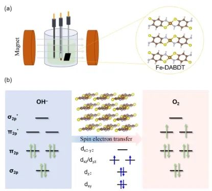 ​南开/北师大JACS：不可忽视d-π共轭聚合物的自旋磁效应，增强水氧化中O-H裂解