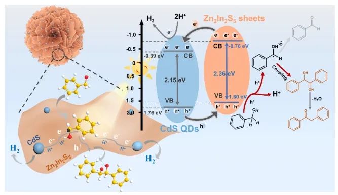 厦大ACS Catal.: CdS量子点修饰Zn2In2S5纳米片，高效催化苯甲醇C-C偶联与产氢