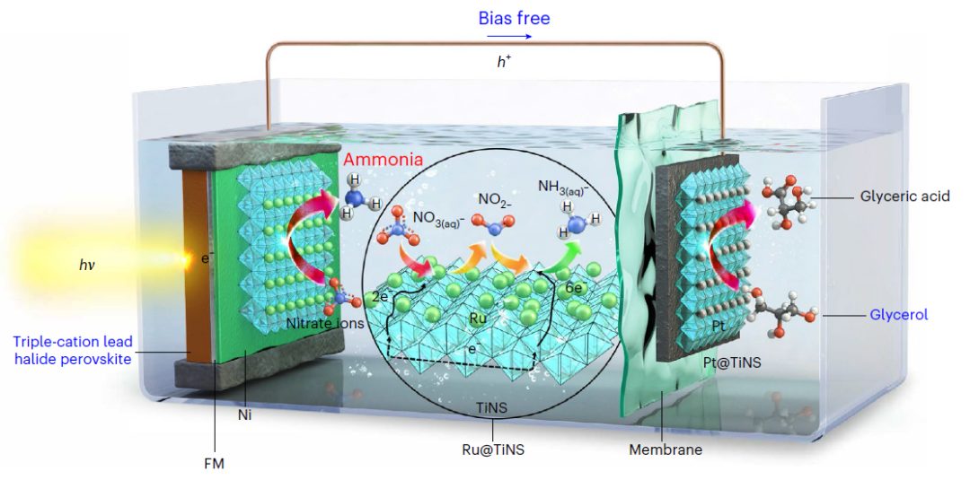Nature Catalysis: 无偏压太阳能光催化合成氨与甘油氧化