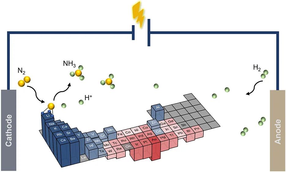 上科大最新JACS：从热力学角度，应使用哪些金属介导氮气和氢气电合成氨？