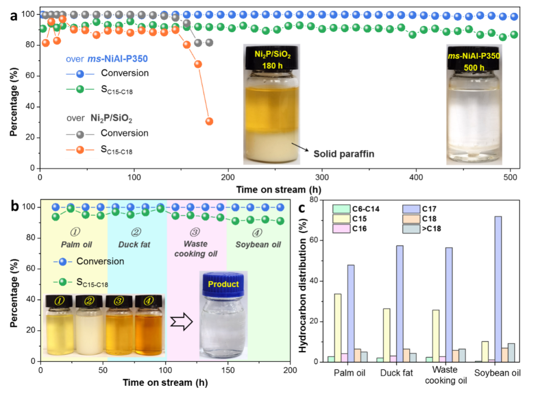 中科院青岛能源所Nature子刊：新型受阻型Lewis酸碱对高效催化油脂脱氧制备绿色柴油