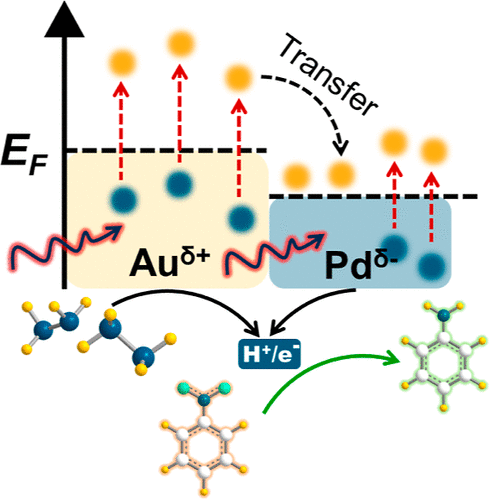 厦门大学ACS Catalysis: 位点选择性双金属异质纳米结构，实现高效光催化硝基苯加氢反应