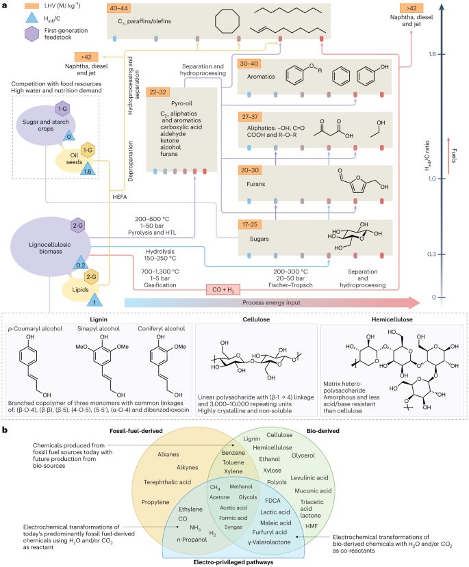 Edward H. Sargent大佬，最新Nature Catalysis！