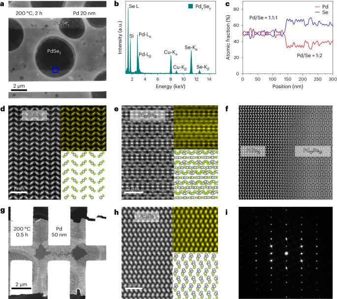 南京大学，最新Nature Materials！