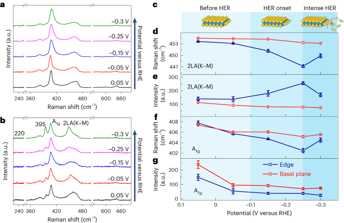 Nature Catalysis：MoS2电催化析氢反应中单个活性位点的可视化结构演变