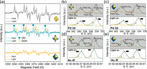 厦门大学ACS Catalysis: 位点选择性双金属异质纳米结构，实现高效光催化硝基苯加氢反应