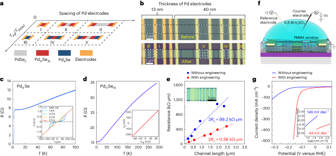 南京大学，最新Nature Materials！