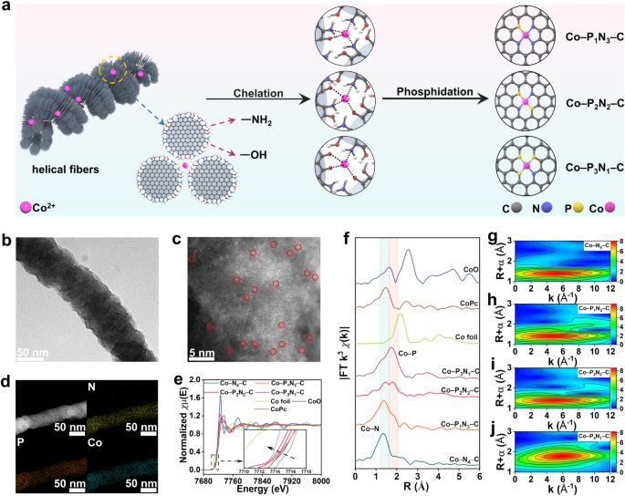 扬州大学，最新Nature子刊！