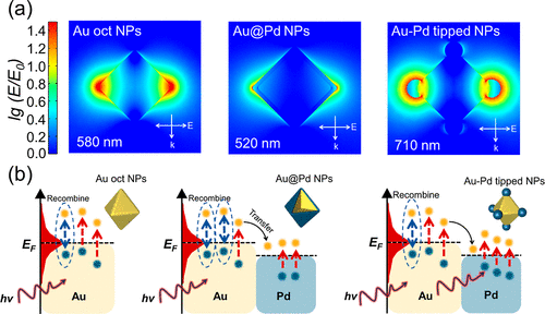 厦门大学ACS Catalysis: 位点选择性双金属异质纳米结构，实现高效光催化硝基苯加氢反应