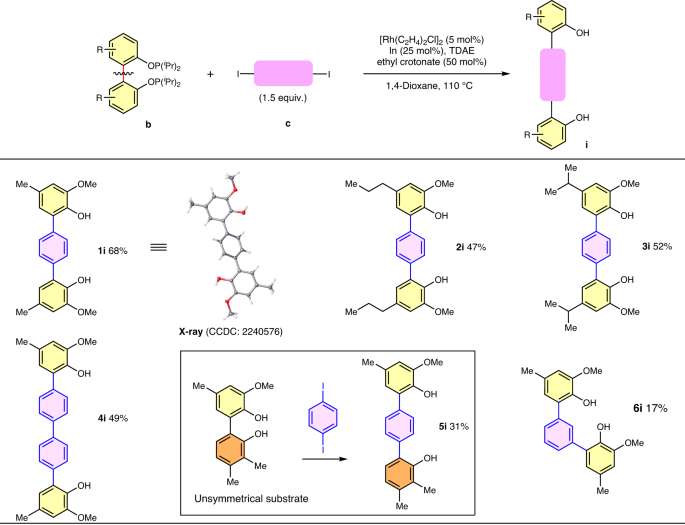 Nature Catalysis: 基于铑催化的非应变芳基-芳基键活化的分裂交叉偶联策略