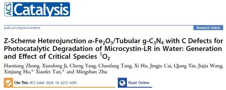 ​湖大/中南林科大ACS Catalysis：构建α-Fe2O3/TDCN Z型异质结，探究临界物种1O2的产生及其效应