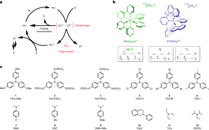 ​Nature Chemistry：光催化效率提升关键，逃逸现象如何重塑反应速率？