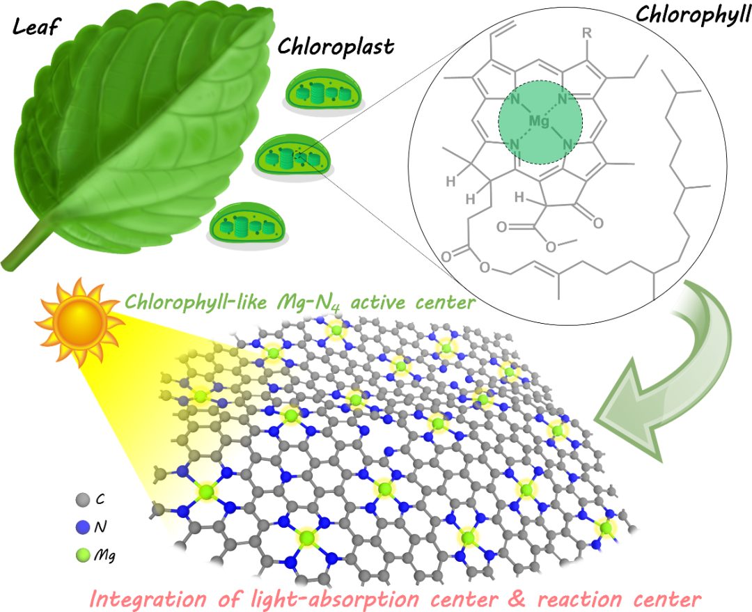 CCS Chemistry：类叶绿素仿生酶Mg-N4结构高效光催化CO2化学固定